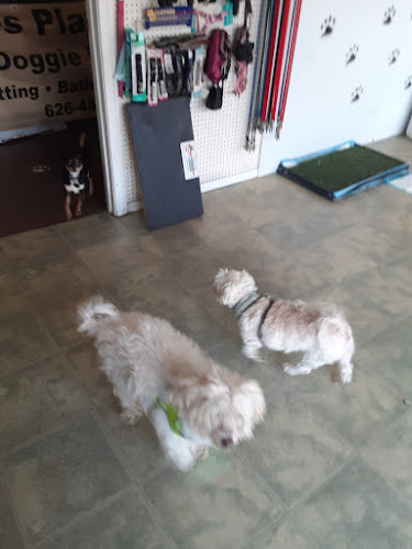 Pooches Playground, LLC