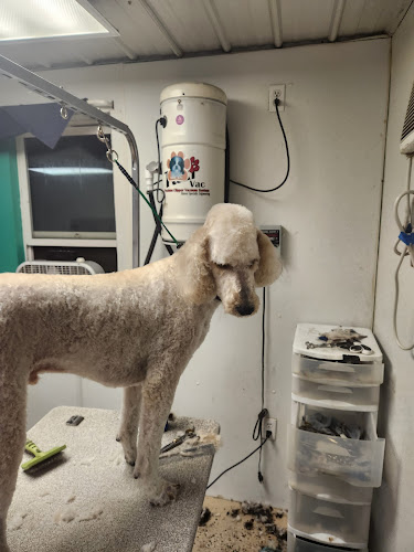 Poochie's Pet Bath & Groom