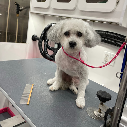 Poochies Mobile Pet Grooming
