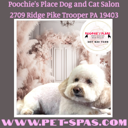 Poochies Place Pet Grooming Salon