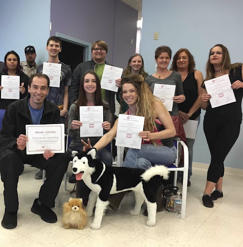 Poochini Pet Grooming