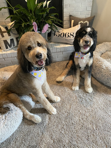 Poodles & Pals Pet Spaw