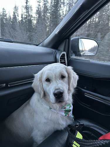 Posh Paws Doggy Salon Houston, Alaska