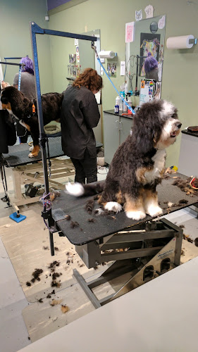 Posh Paws Grooming Salon
