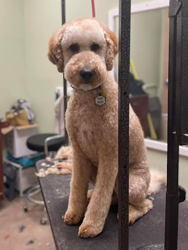 Posh Paws Parlour & Boarding