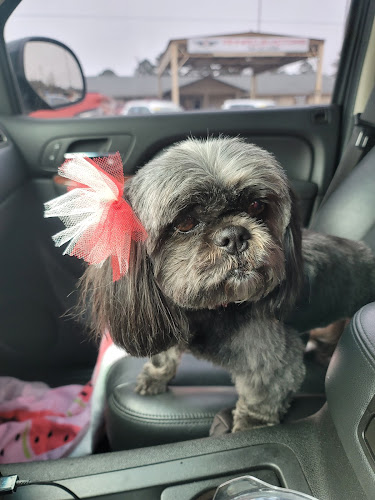 Posh Paws Professional Dog Grooming, LLC