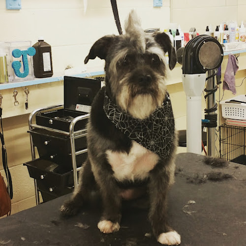 Posh pups pet grooming