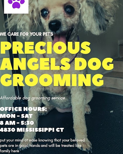 Precious Angels Dog Grooming, LLC