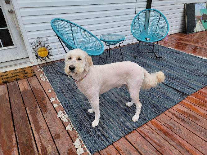 Precious Paws Dog & Cat Grooming LLC