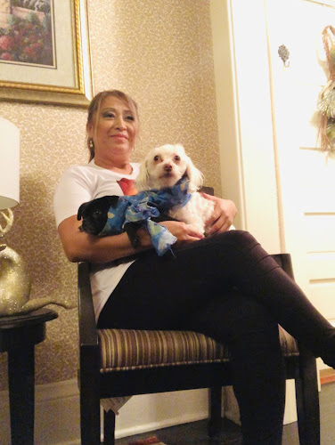 Precious Paws Dog & Cat Grooming