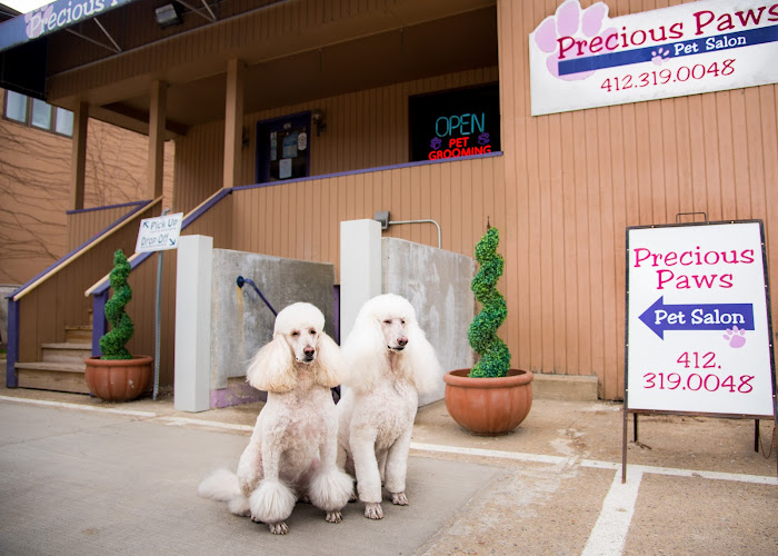 Precious Paws Pet Salon