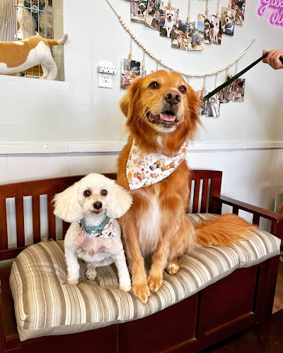 Precious Paws Pet Salon