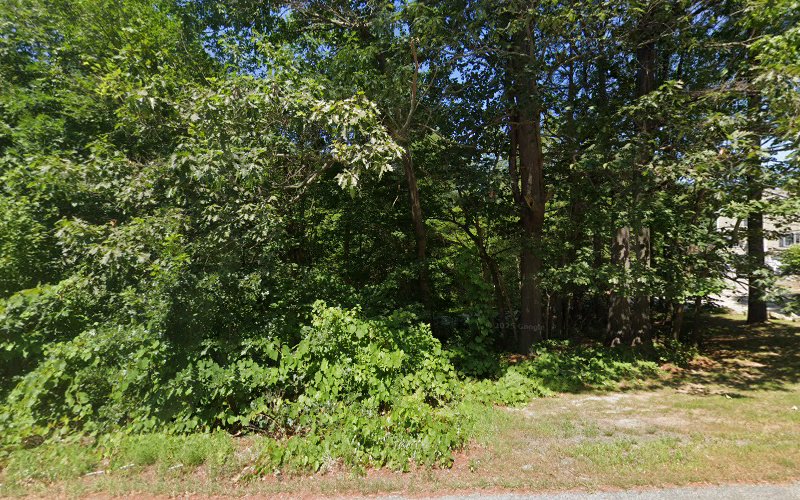 Precious Pets Grooming Salon