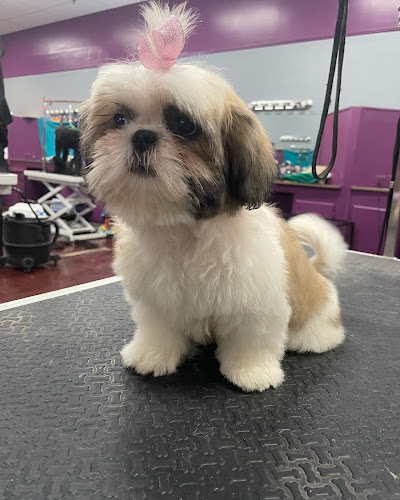 Precision Grooming Spa SUPERSTORE Montgomery on Eastdale Circle