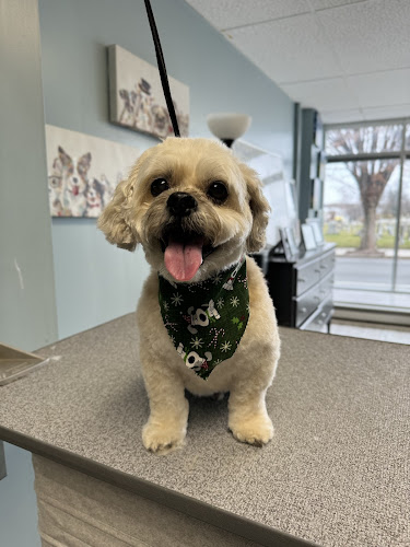 Premier Pet Services LLC