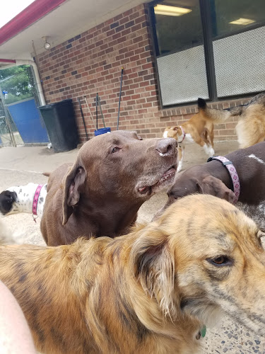 Preppy Pet of Warminster