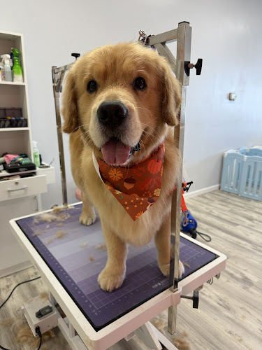 Pretty Paw Pet Grooming