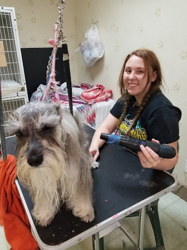 Pretty Paws Boutique