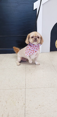 Pretty Paws By Danielle