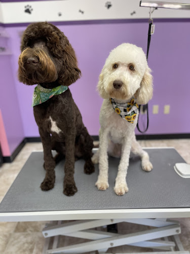 Pretty Paws Grooming