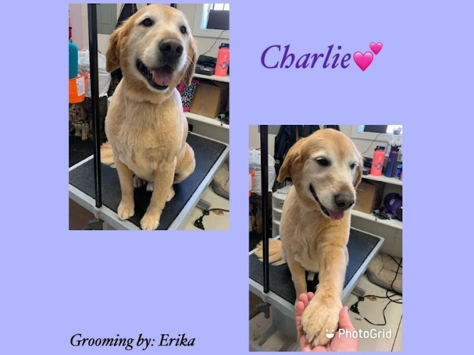 Pretty Paws Grooming