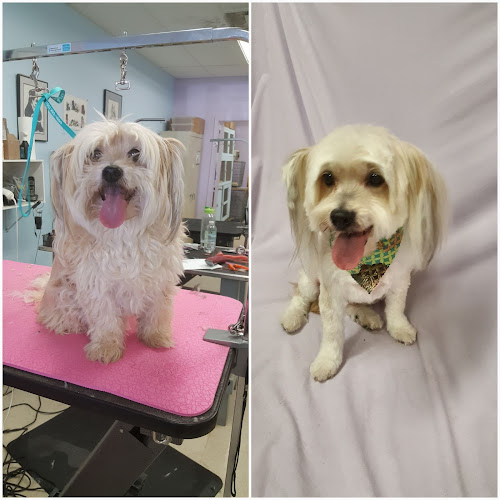 Pretty Pets Grooming