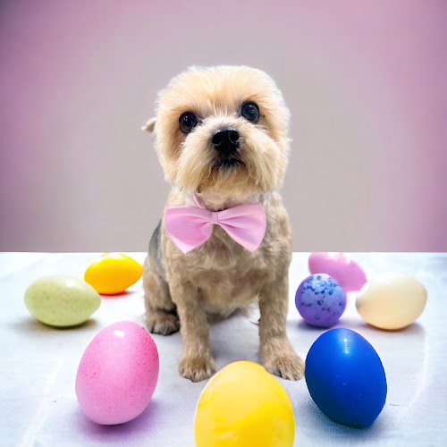 Pretty Pets Mobile Grooming