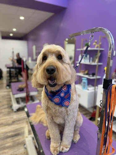 PrimPups Dog Salon