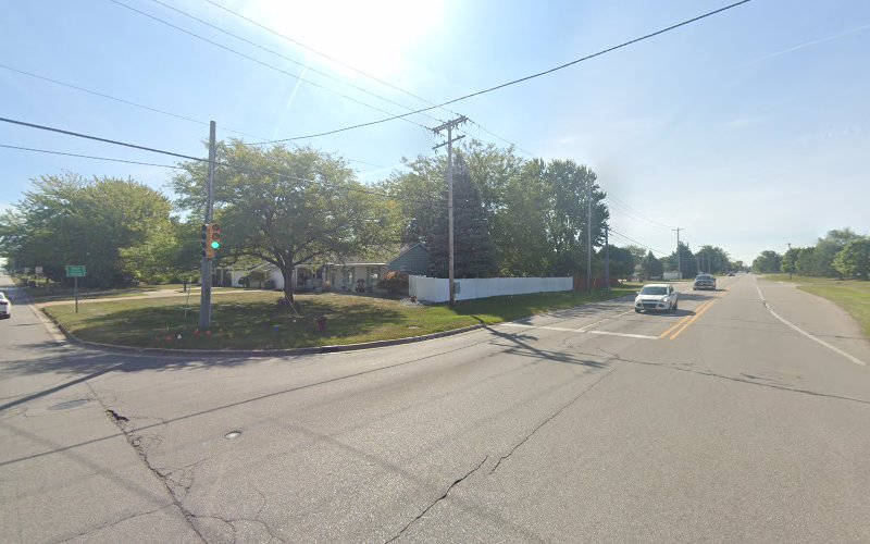 Princess and the Hound