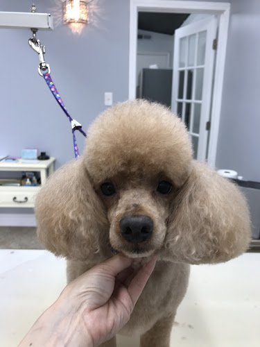 Princess Princess Dog Grooming Studio for small breeds