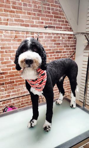 Prissy Paws Pet Spaw