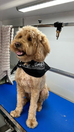 Private Mobile Grooming