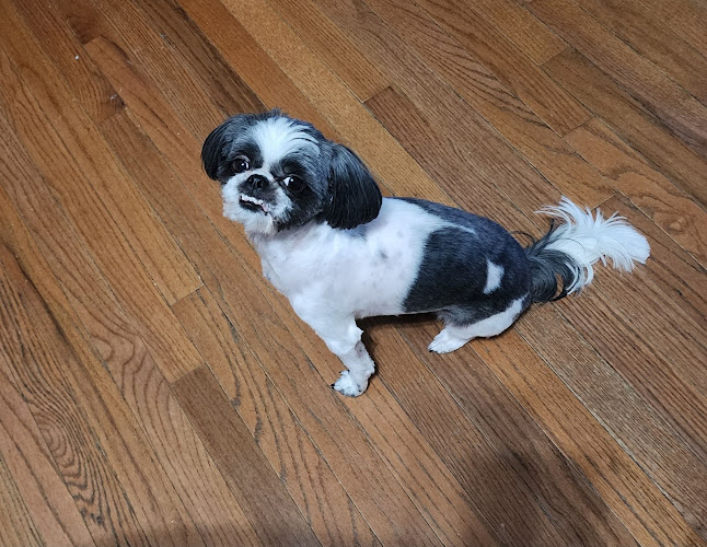 Pup N Sudz Pet Grooming & Supplies