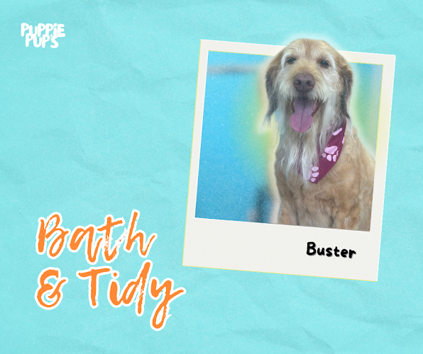 Puppie Pup's Grooming