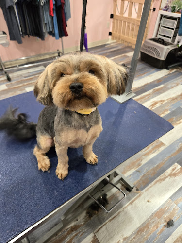 PUPpoozi's Doggie Day Spaw LLC