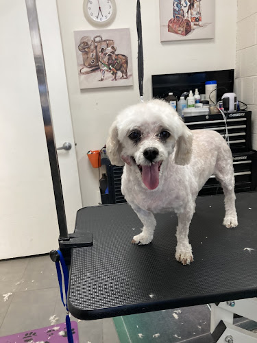 Puppy Castle Grooming Salon