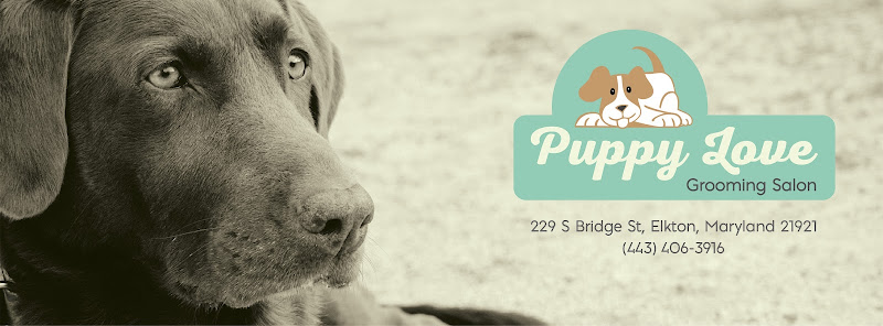 Puppy Love Grooming Salon