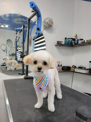 Puppy Love Pet Grooming
