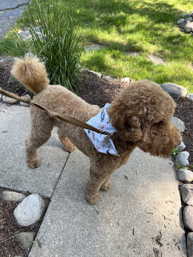 Puppy Palace Self-Service Dog Wash, LLC