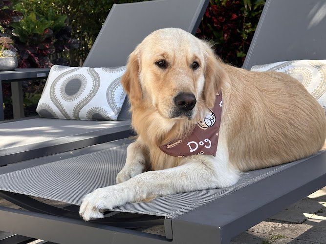 Puppy Palms | Pet Grooming&Supplies