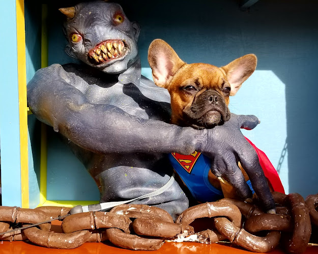 PUPPY PAW ENTERPRISES