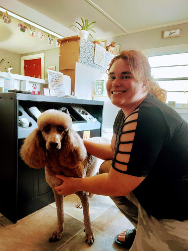 Puppy Purrs Dog Grooming