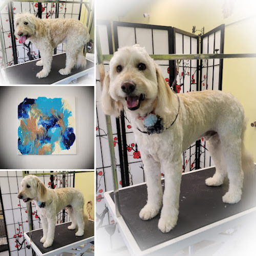 PuppyDo Transformations LLC