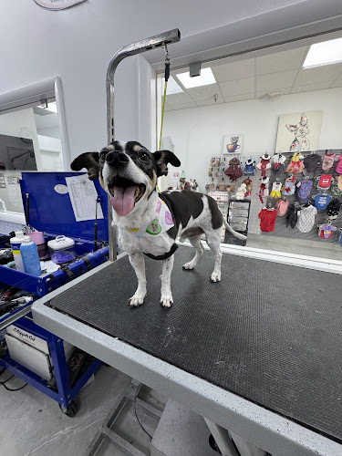 Puppylicious Pet Grooming Salon