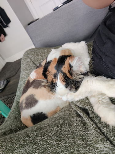 Pups (formerly Sydnee's)