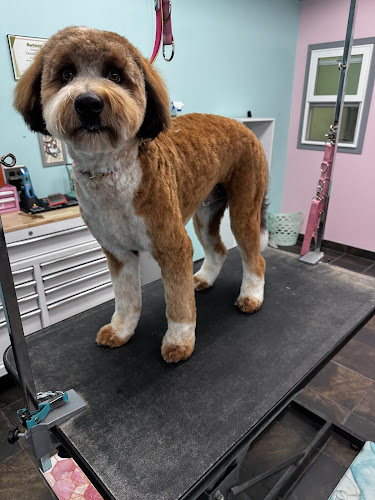 PupTown Girl Dog Grooming