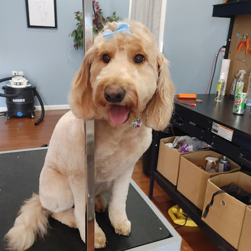 Pupz Pet Spa, LLC