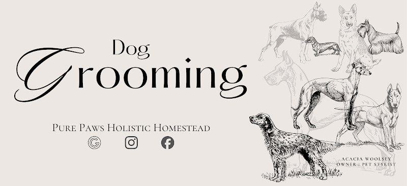 Pure Paws Holistic Homestead — Dog Grooming