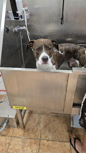 Purfect Paws Grooming Hotel