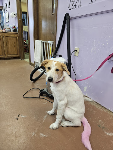 Purple Door Pet Salon